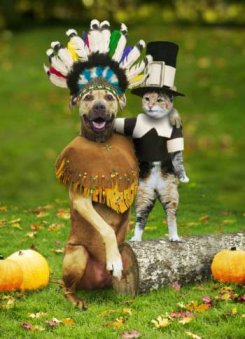 Cute pet clothing example. Dog wearing indian costume and cat wearing Pilgrim costume.