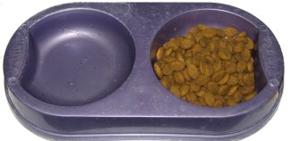 Don't buy a dog dish water bowl combination like this. They are awful!
